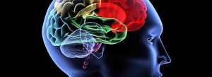 neuromarketing strumenti tecniche esempi