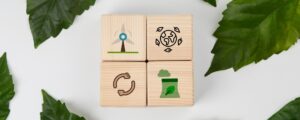 impronta_ecologica_e_marketing